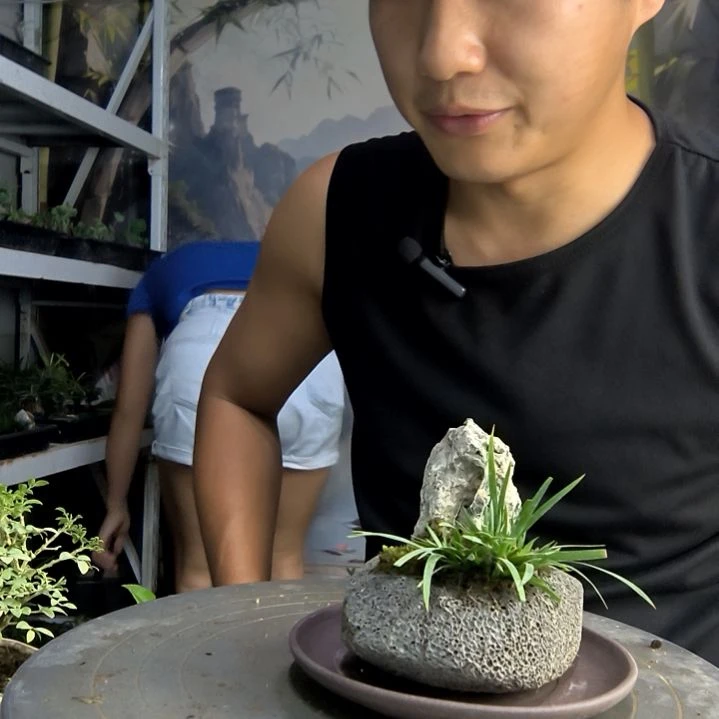 林*中青园艺一物一拍46