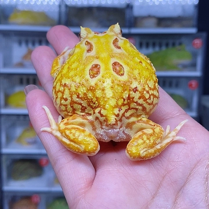 特价秒杀现货特价残