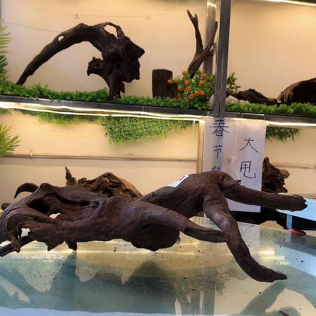 柚木沉木鱼缸造景