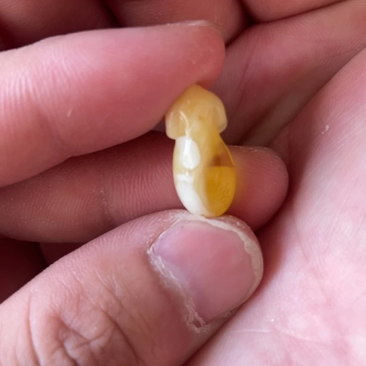 未镶嵌琥珀珠宝奇石