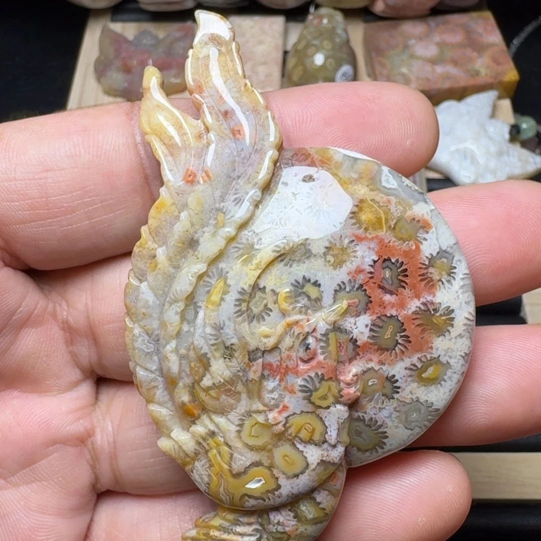 未镶嵌纯天然色有机玉石保真色硅化玉