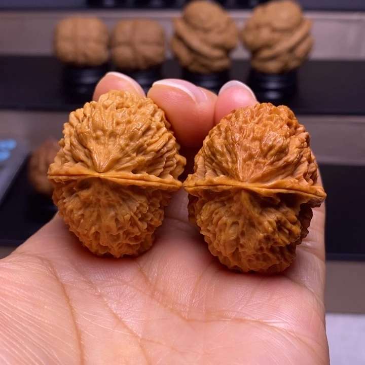 文玩核桃把件珊瑚石34