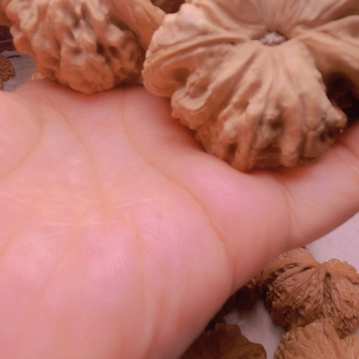 ✨****✨核桃核桃核桃核桃