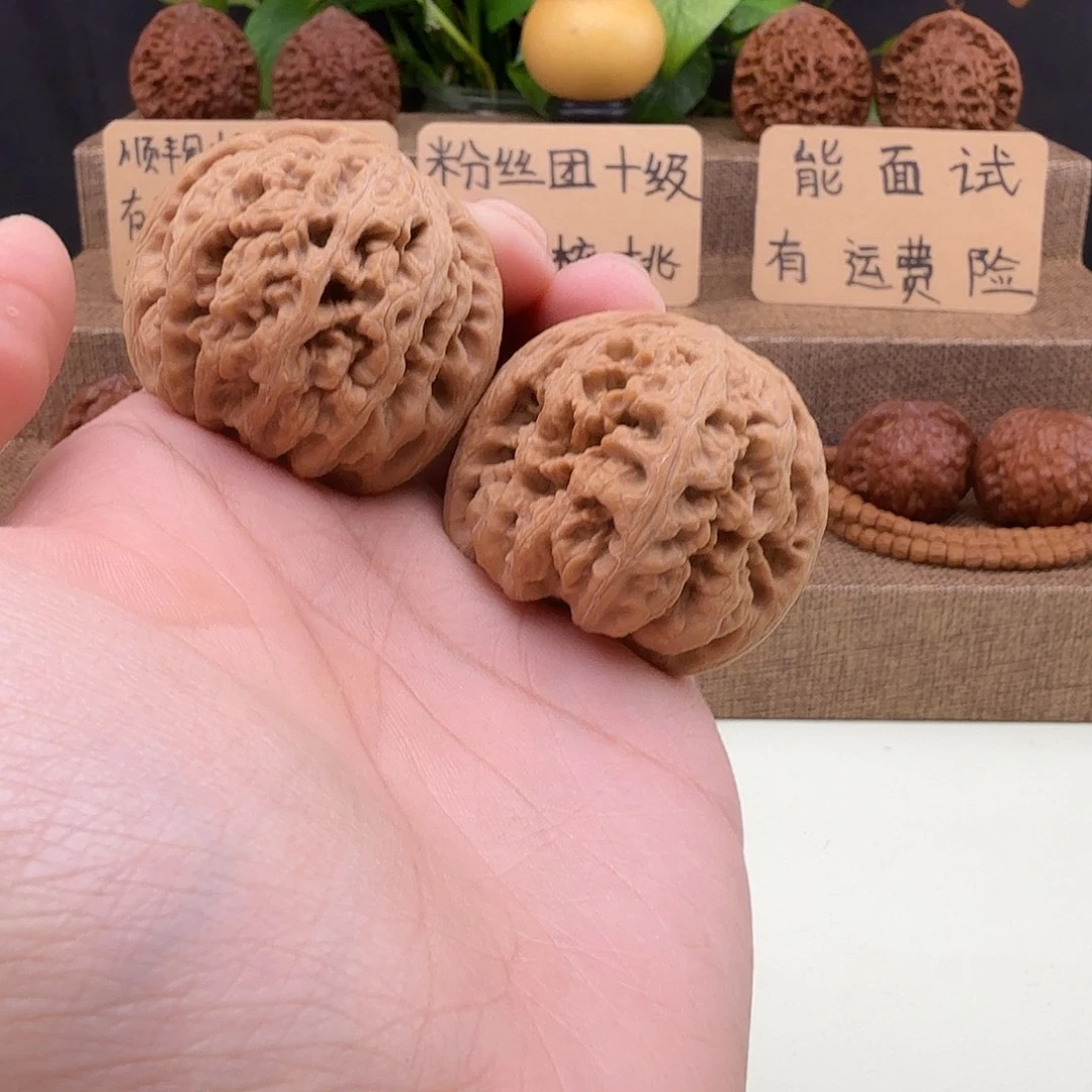 全品大粗筋41/40/37