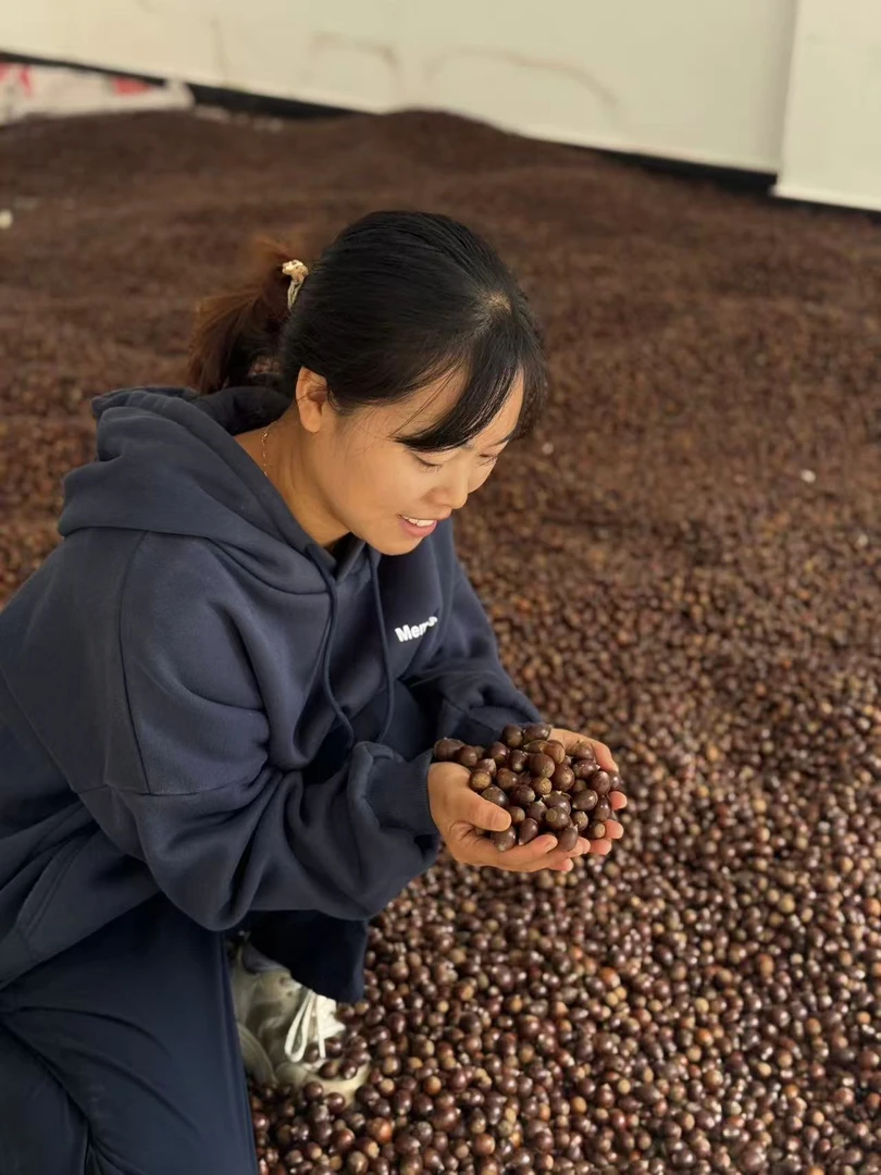 《蒋幺妹专属》山野纯野生个头很小，无膨大剂，无人工干预（介小慎拍）