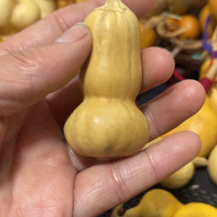 ꧁***n葫芦哈哈哈哈哈哈哈哈
