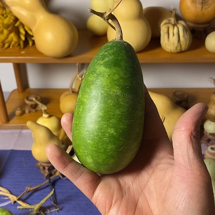 继***笑青皮葫芦手把件葫芦
