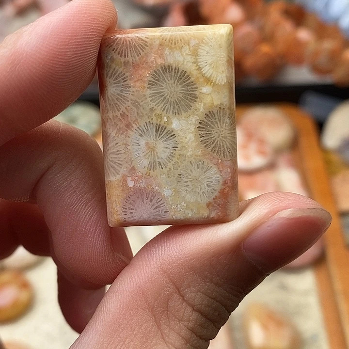 清****硅化玉颈饰未镶嵌