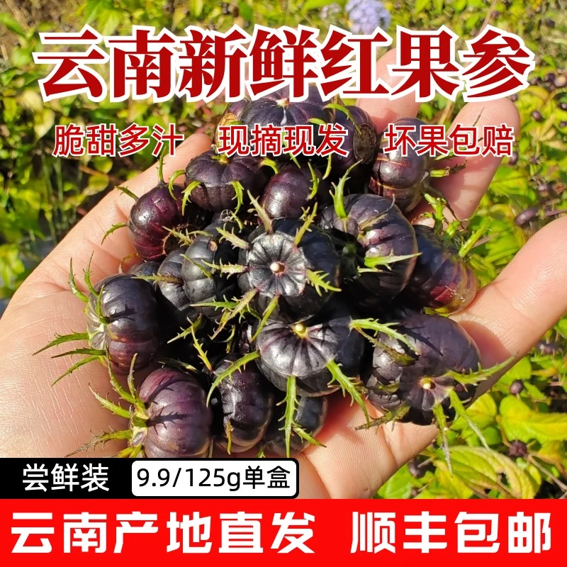 云南高山红果参125g/一盒