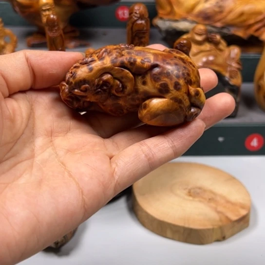 柏木（崖柏）?****鱼喜欢你是一