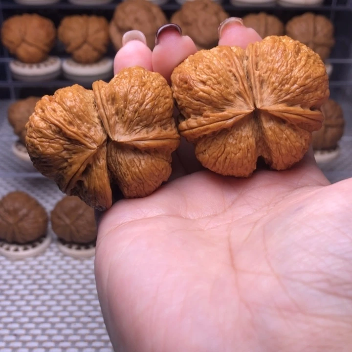 文玩核桃把件93号蝴蝶两连44尺