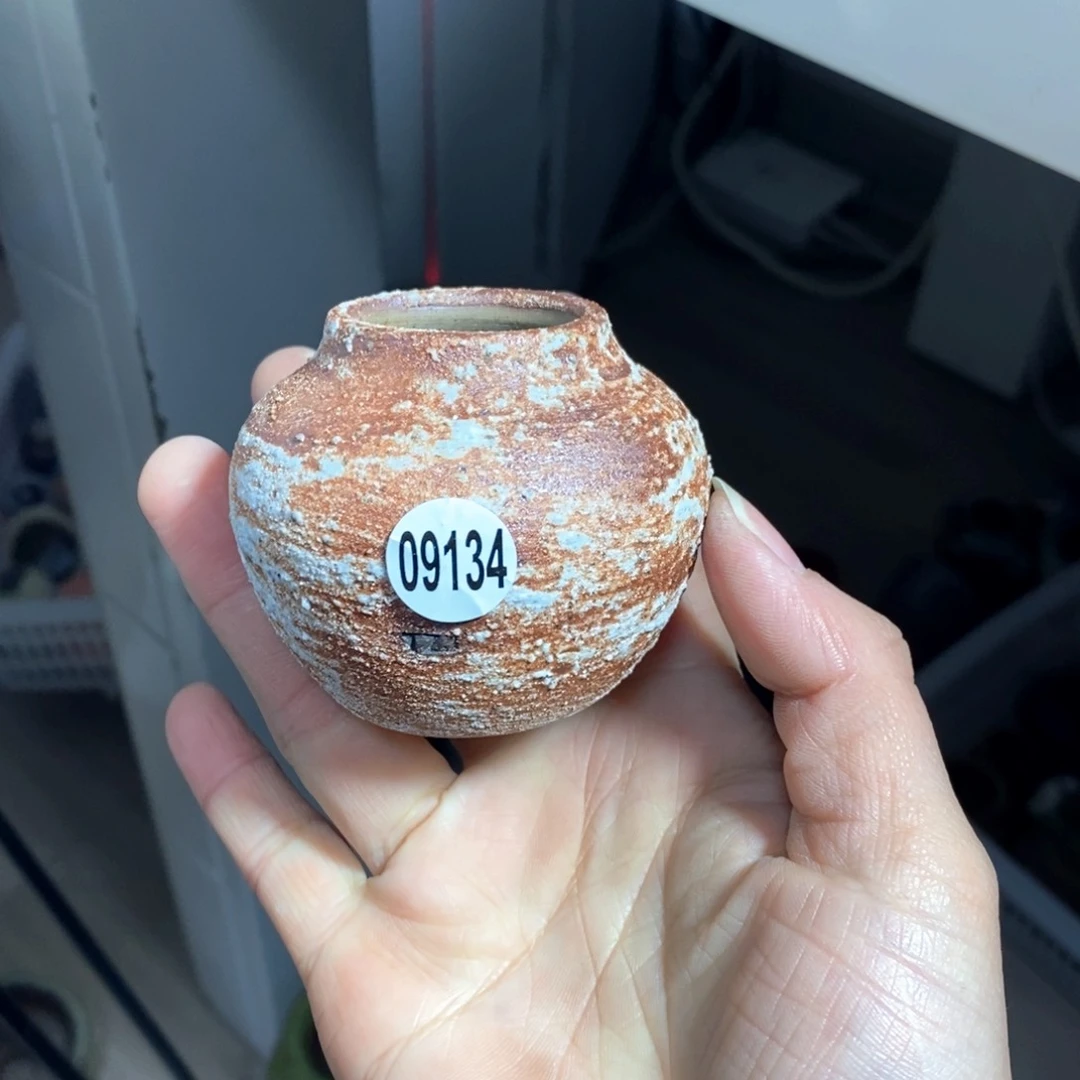 周**周花盆拍5送一个小礼物