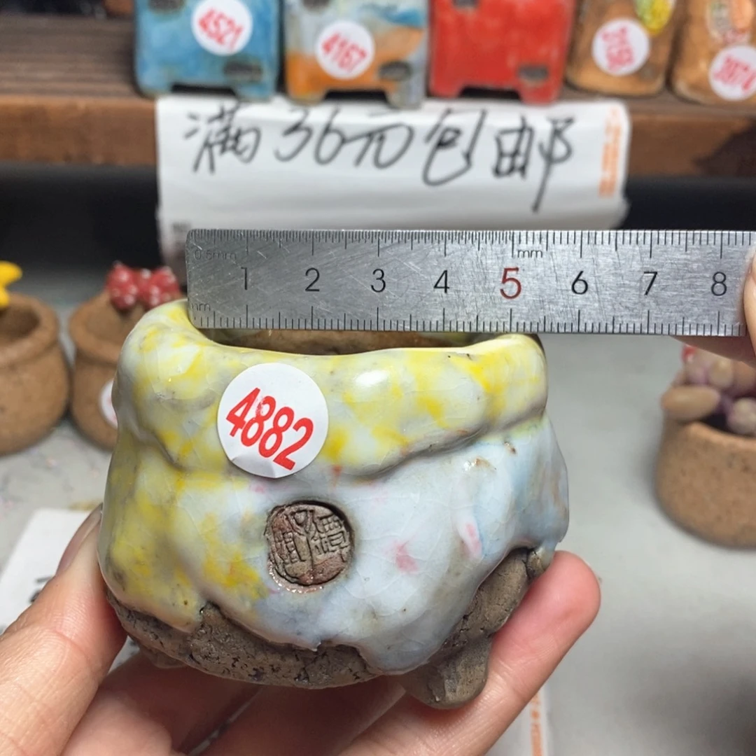 红陶拍3送一个小