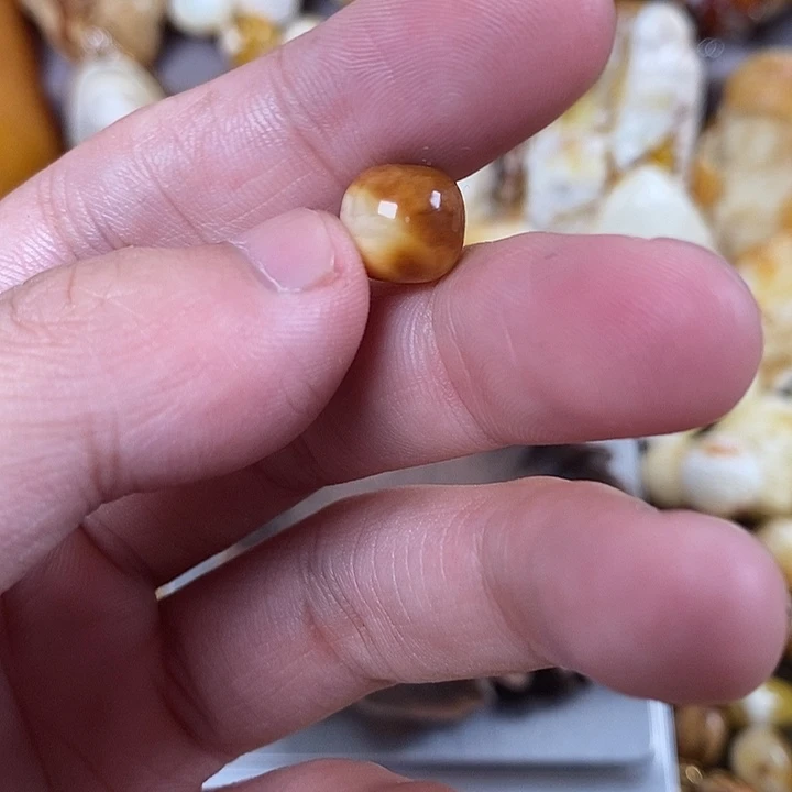 琥珀未镶嵌裸石我