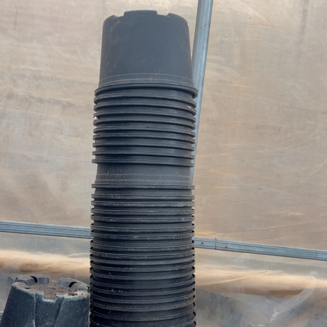 精品加仑盆20口径14高 5个