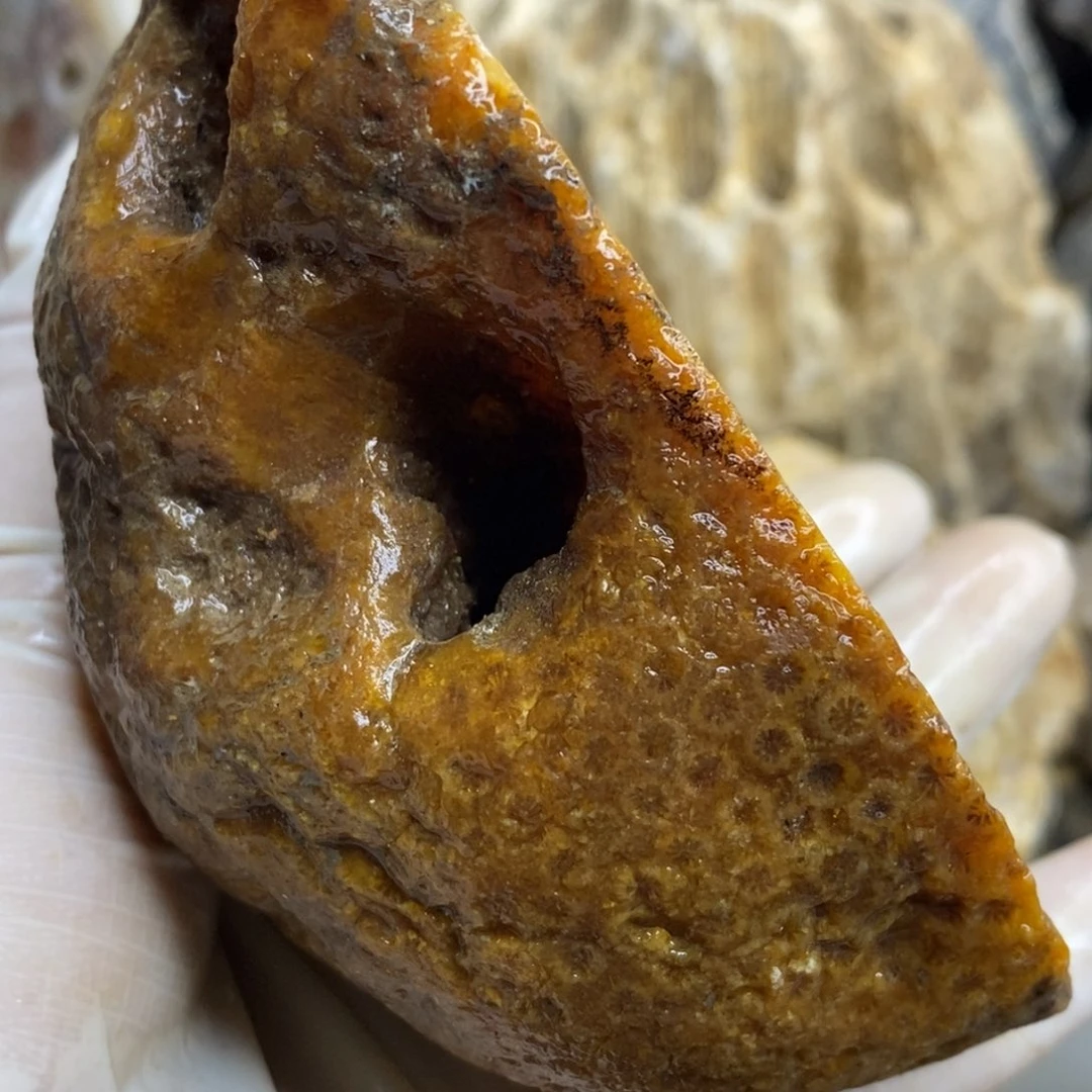 【闪购商品】硅化玉颈饰未镶嵌