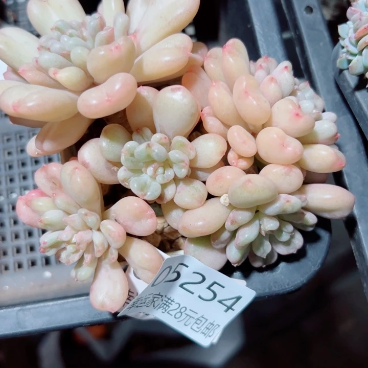 幸运的是我还没遇到过