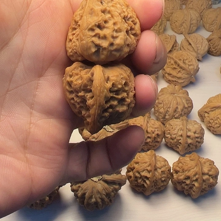 。***鱼大度和你的心一样重要