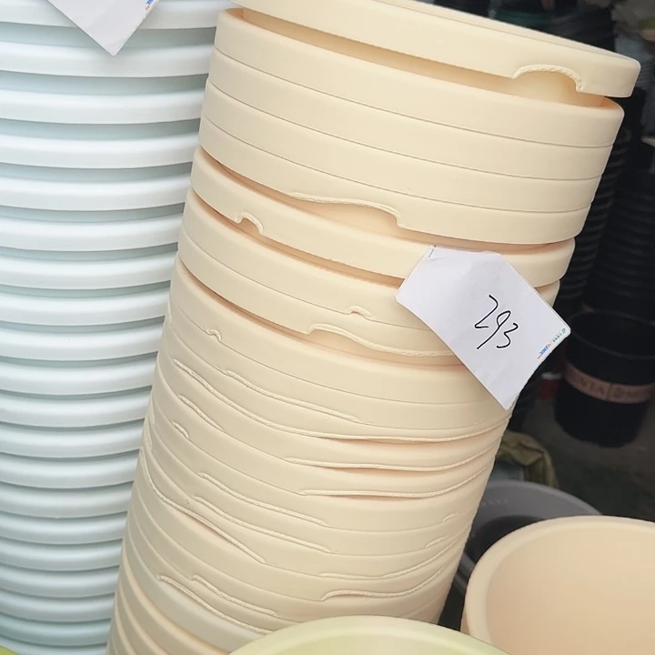 缺口球根32口径米黄5个无托