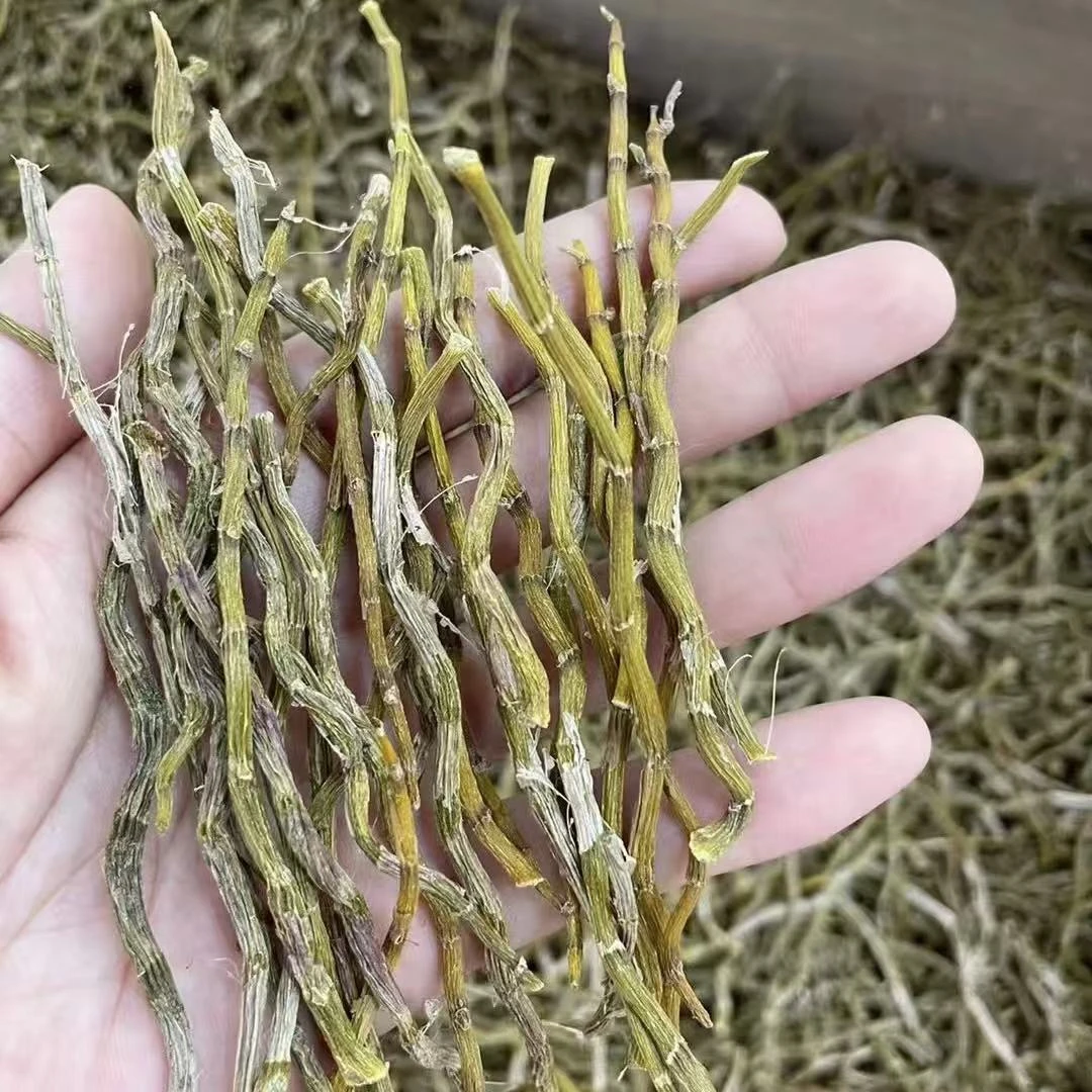 【小钟严选】正宗霍山石斛干条胶质饱满无渣粗条可打粉滋补佳品