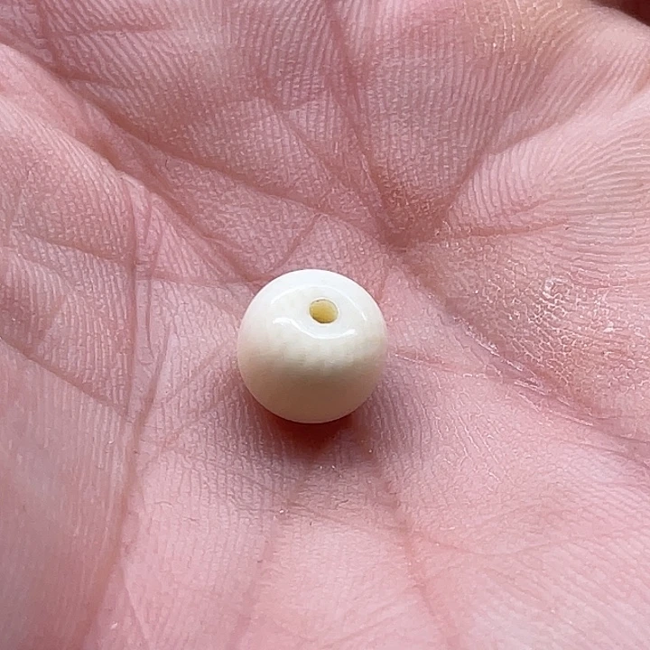 b***s猛犸猛犸老型珠子