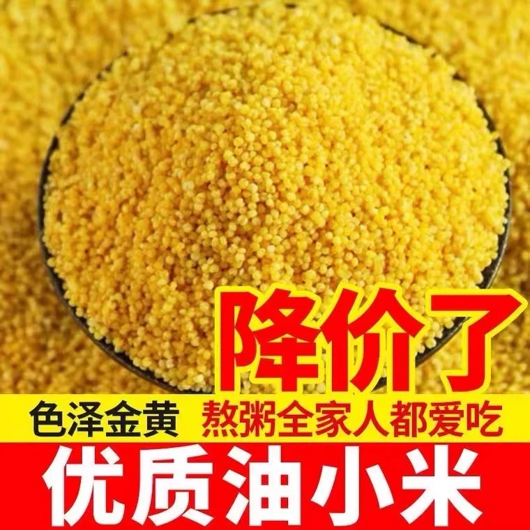 山东金乡马庙黄小米小米新米农家黄小米五谷杂粮米油小米粥农家米