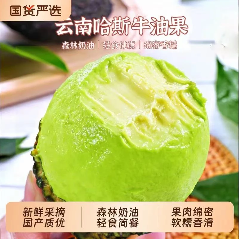 【买贵包赔王炸】云南正宗哈斯牛油果新鲜当季水果宝宝辅食即食