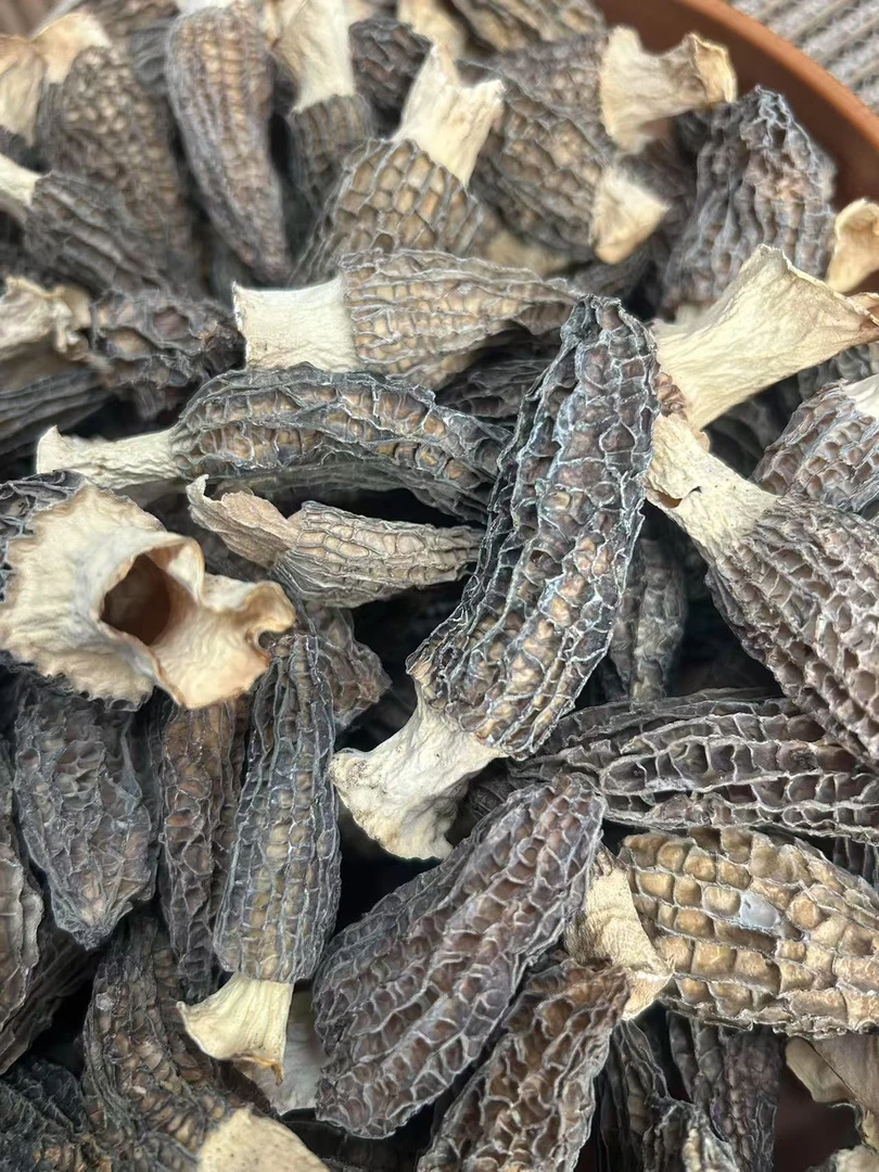 硒都精品干羊肚菌
