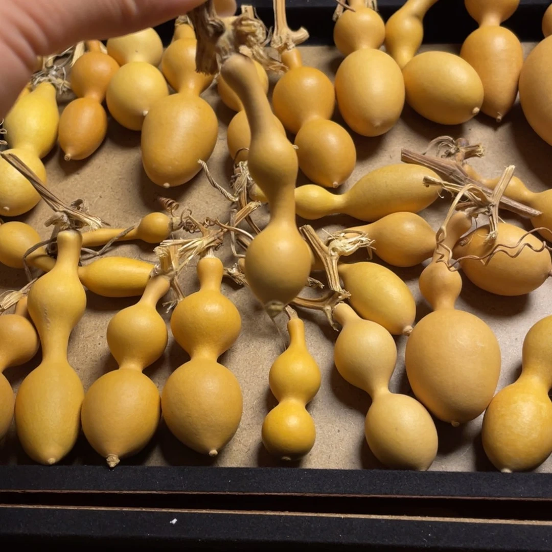 闾**地路路咯摸摸摸摸摸