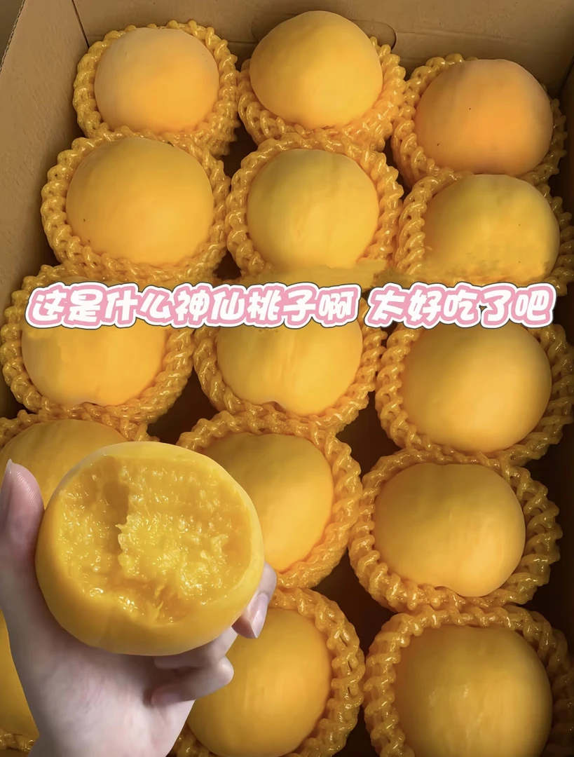 山西黄桃新鲜水果脆甜多汁脆软两吃蜜桃