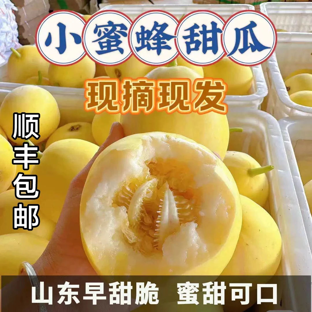 头茬蜜罐甜瓜脆瓜小蜜蜂甜瓜羊角蜜博洋新鲜水果甜瓜白糖灌蜜瓜