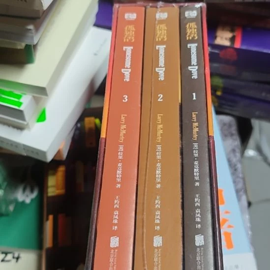孤独鸽（涵套微瑕）库存书