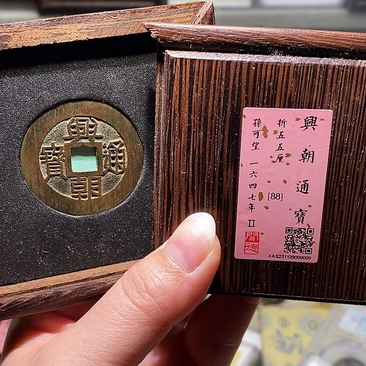 铜瀚海文物A兴朝通宝9009