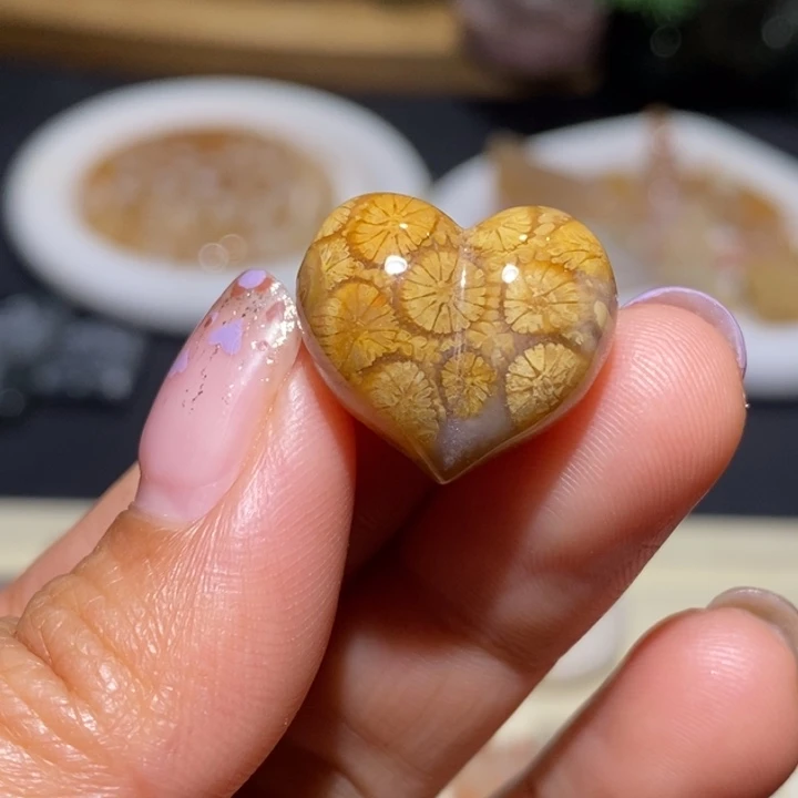 【闪购商品】未镶嵌珊瑚玉硅化玉