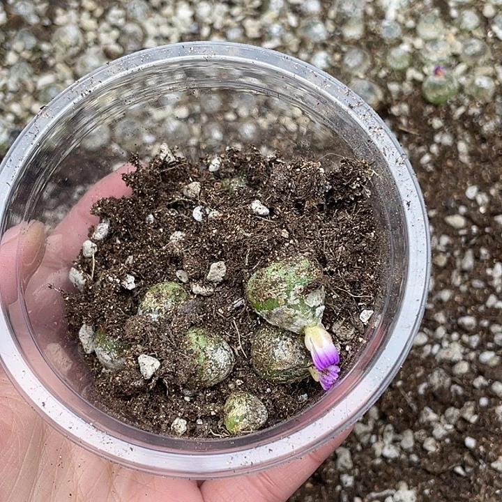 96嗯我我我我我我了