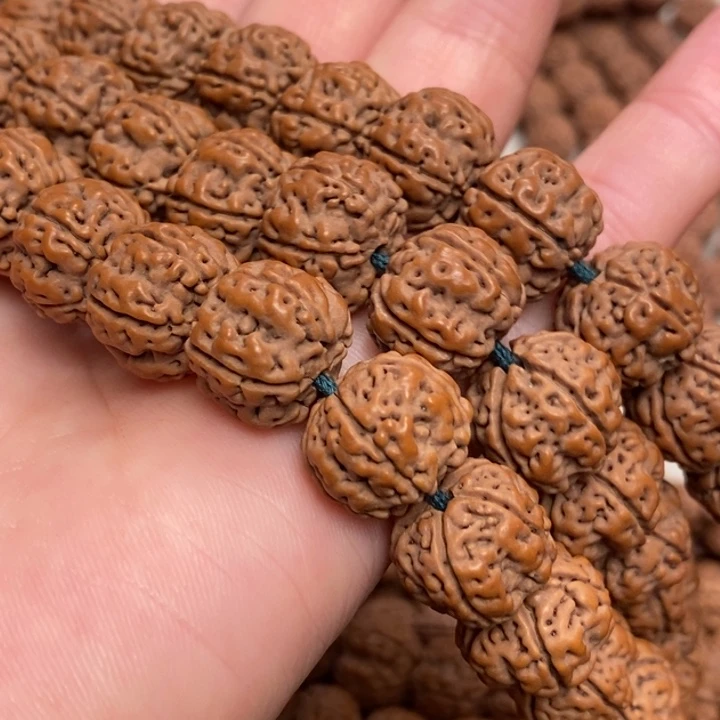 菩提桂****务纯血老树王