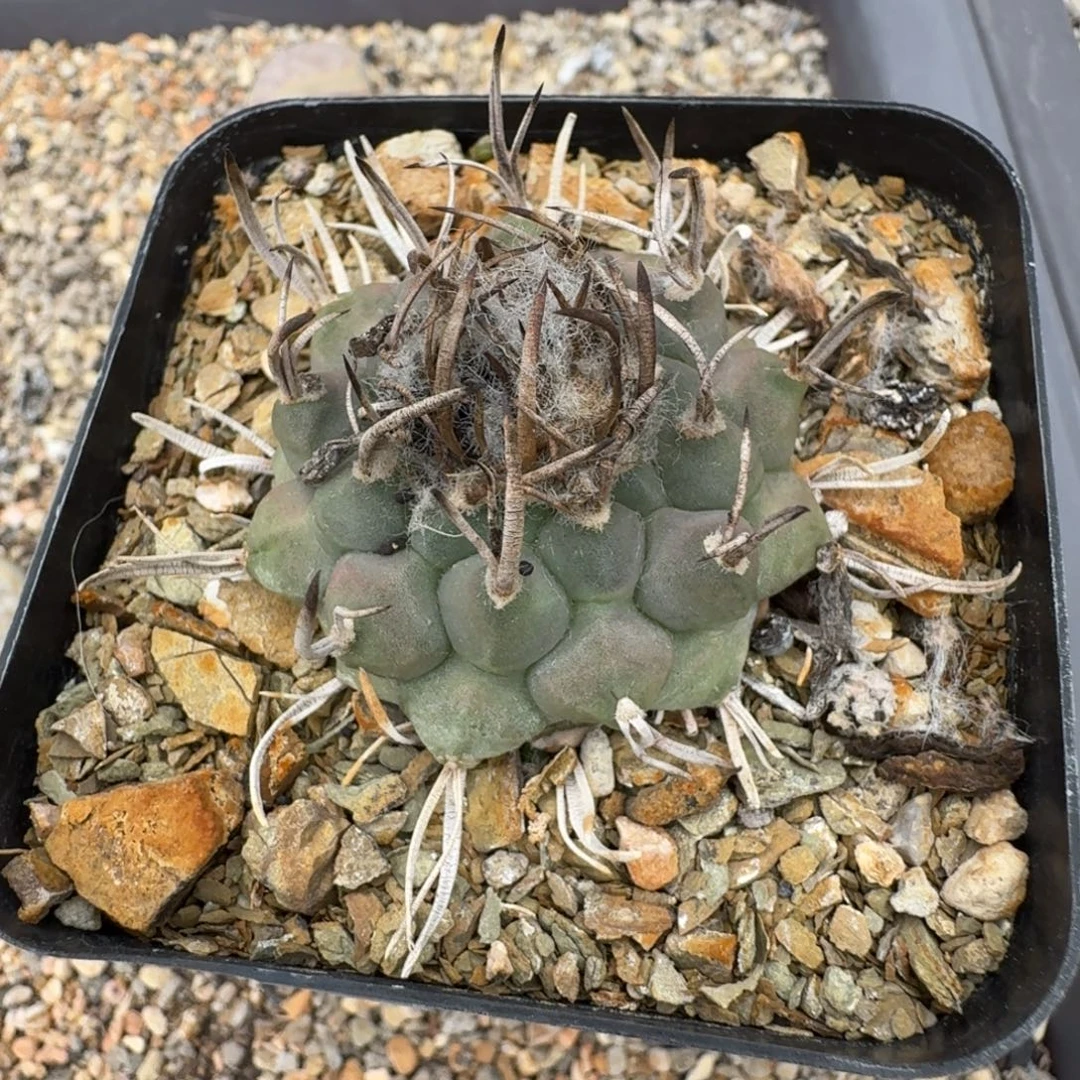风***人花花花花花花花花花