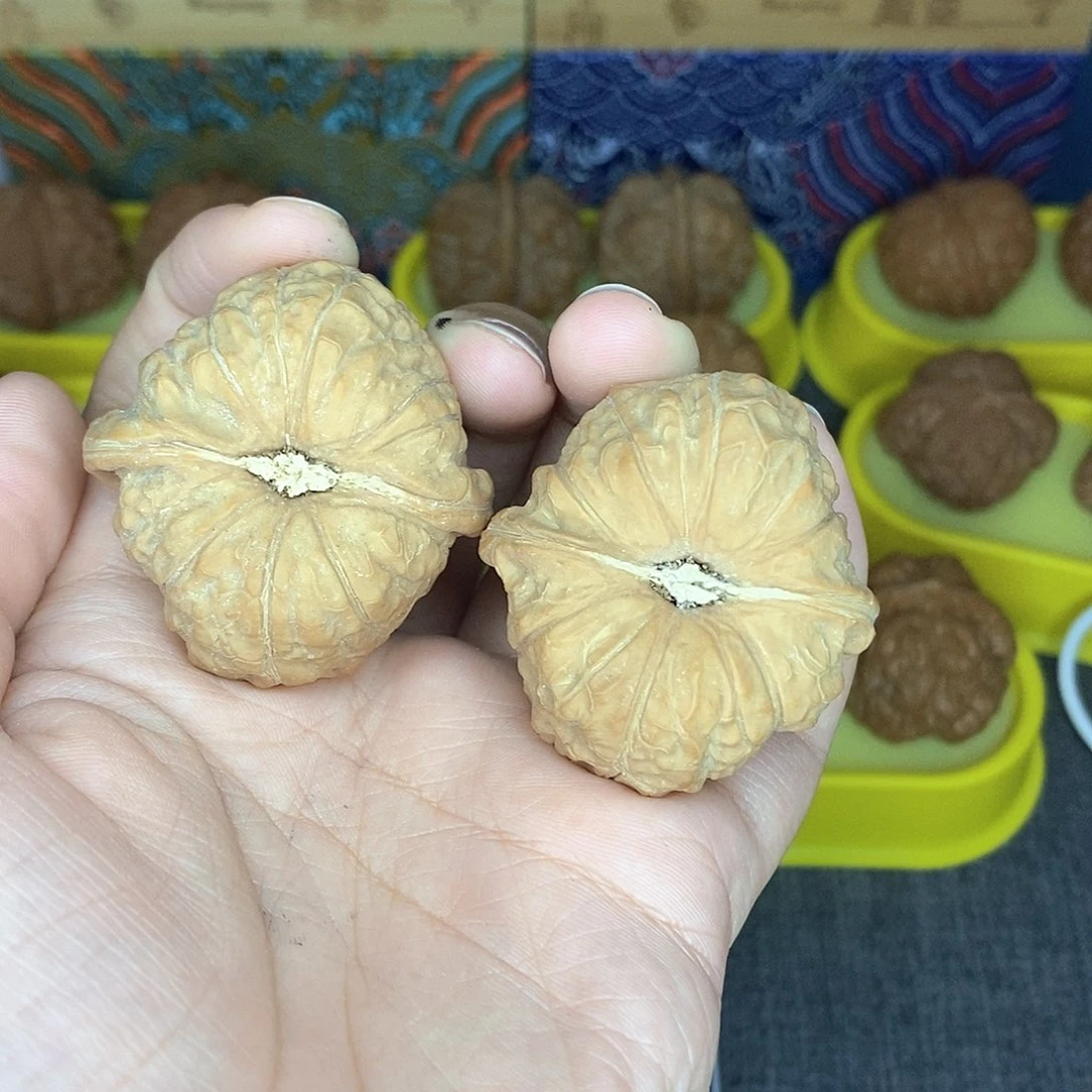 七***后43尺寸南瓜墩全品无修