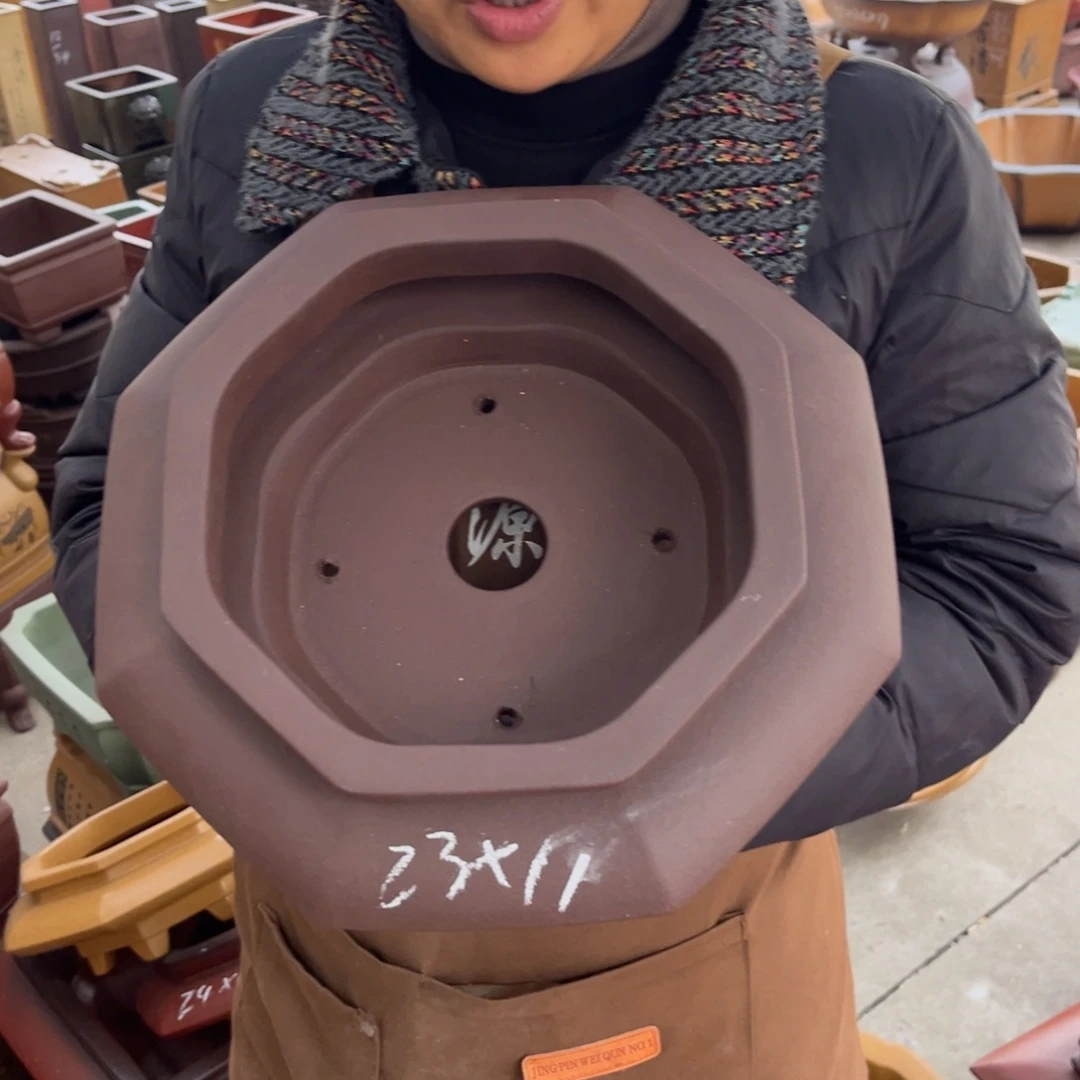 紫砂花盆盆景艺术