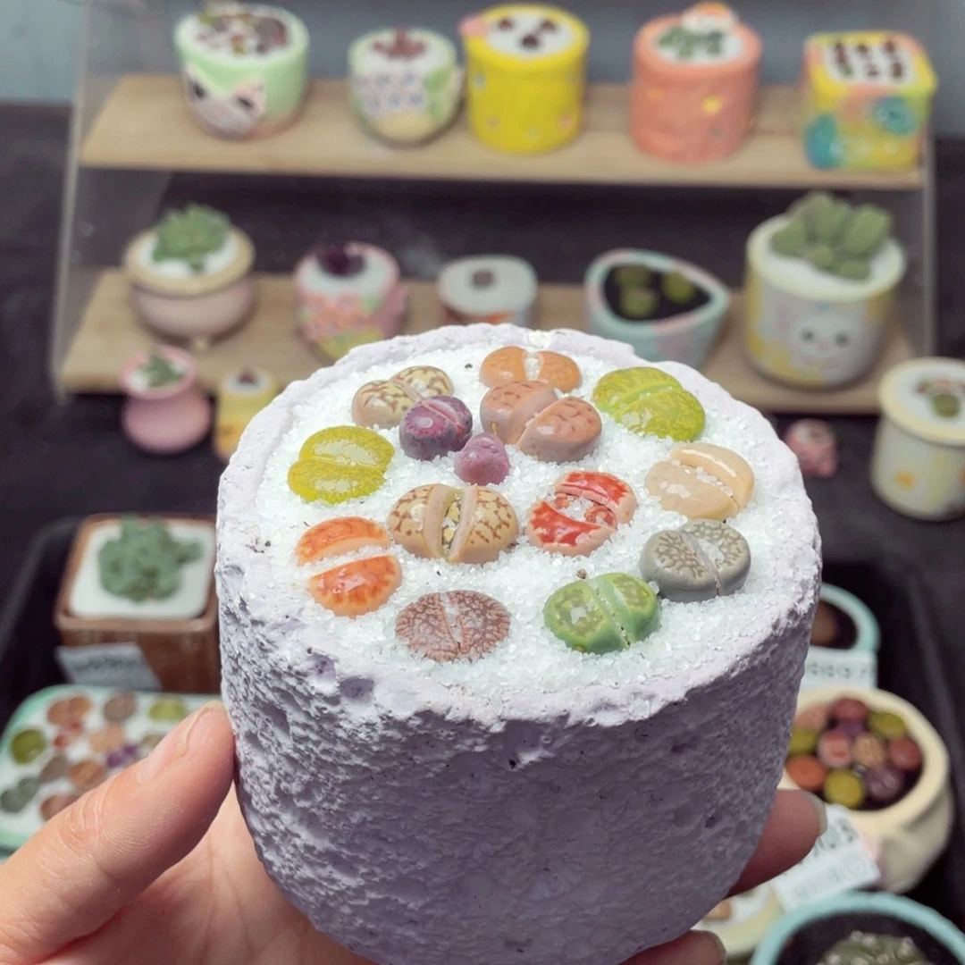 w8907 带盆土发货-零下地区拍保温箱