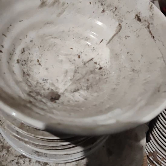 瓷白色螺纹碗口径23