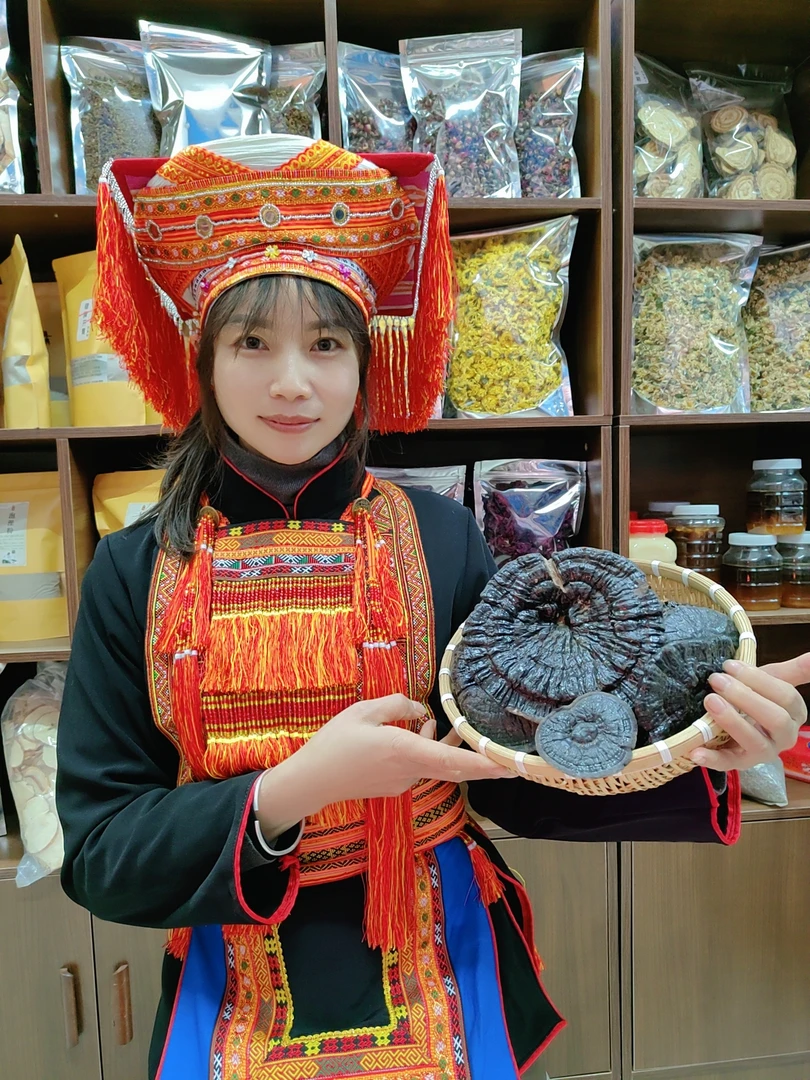 【金秀大瑶山】野生紫芝菇朵自然晾晒干货煲汤煮水煮茶