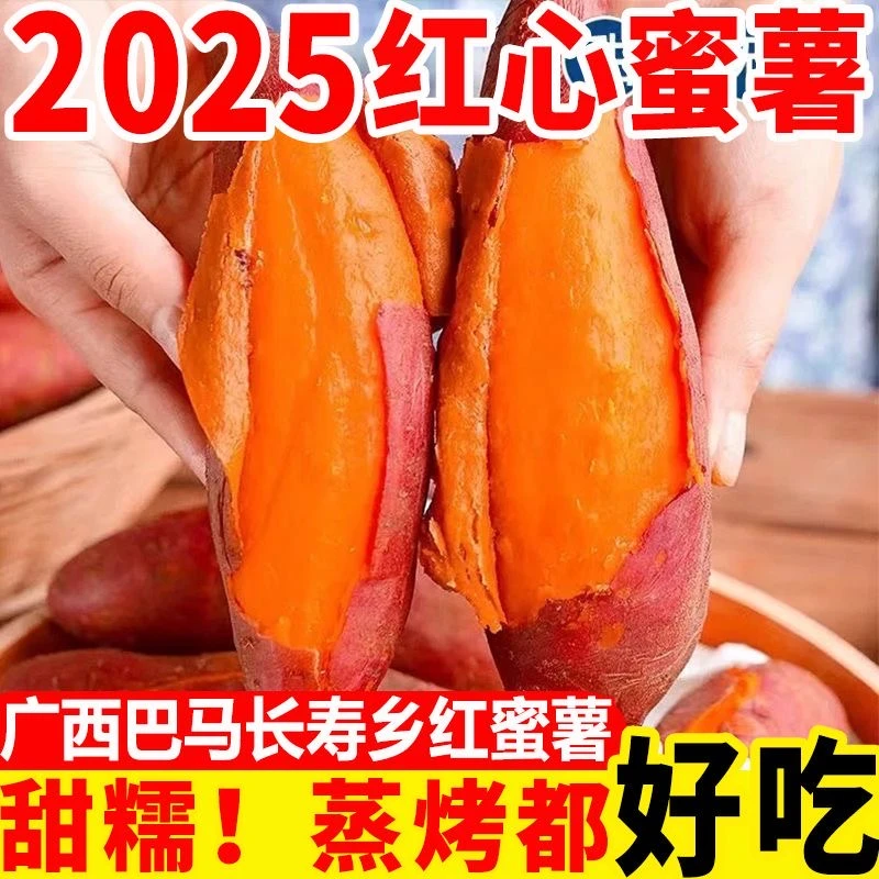 【坏果包赔】正宗沙地西瓜红蜜薯自种地瓜糯香甜红心番薯
