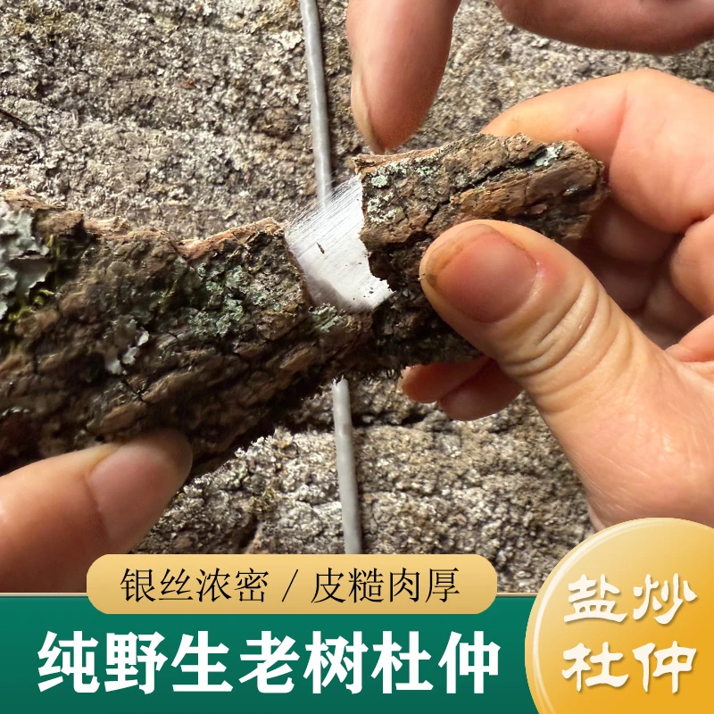 正品野生杜仲 杜仲树皮拉丝 手工老杜仲中药材