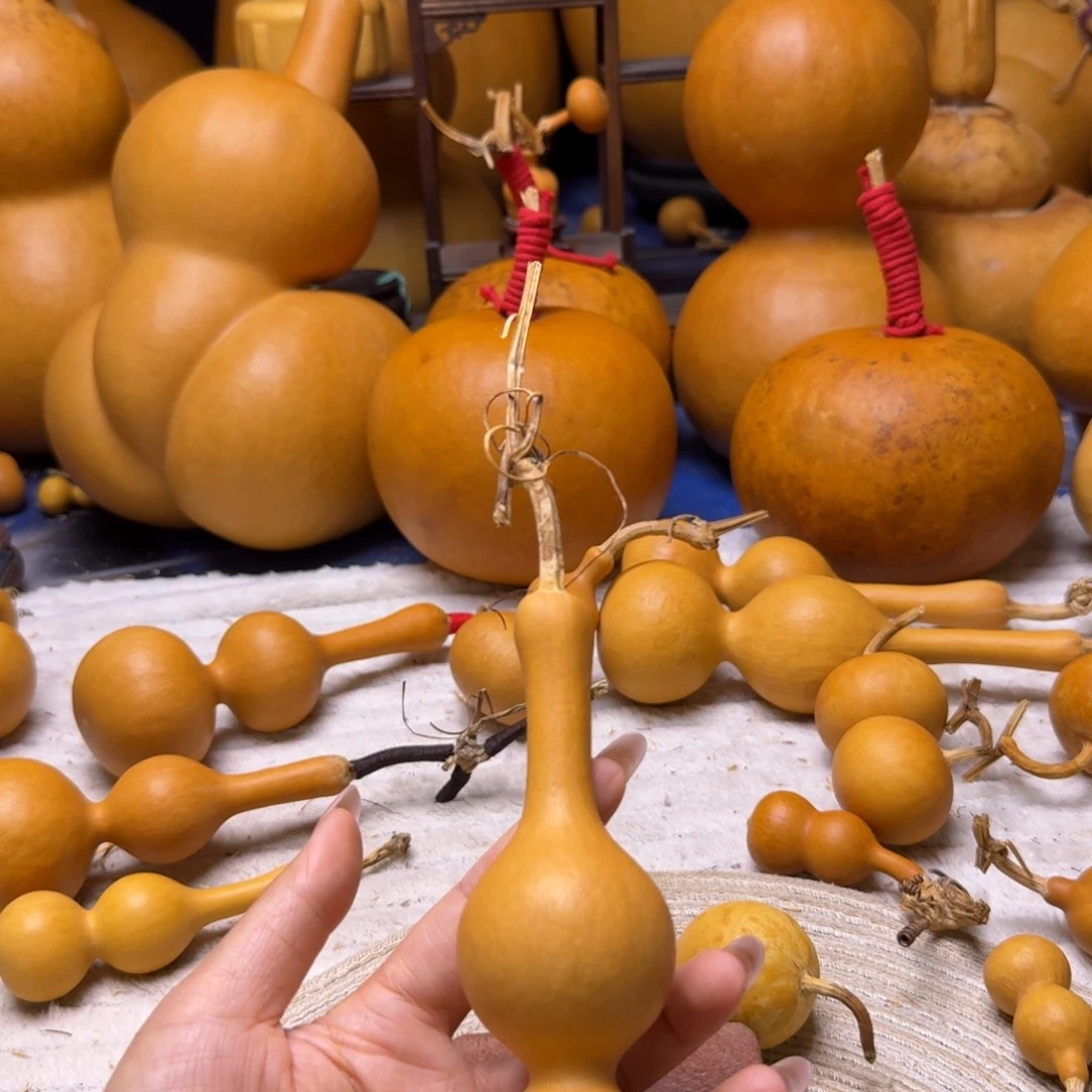 如***～长嘴八宝嘎嘎漂亮