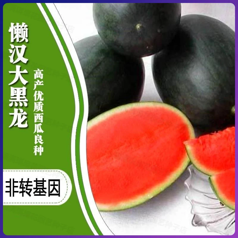 【买二送一】正品高产薄皮懒汉大黑龙红瓤长西瓜种子耐四季水果种