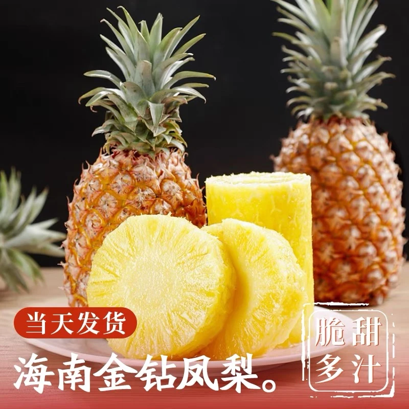 海南自然熟【金钻凤梨】果园直发新鲜应季水果现摘现发香甜多汁5斤