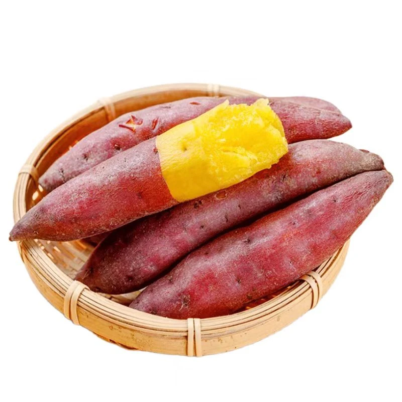 海南沙地种植小香薯软糯香甜