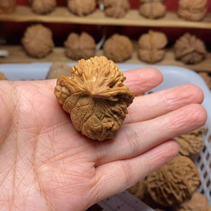 蚂***蚁把件文玩核桃文玩