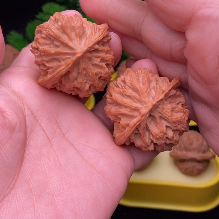 苹果园53全品1111111